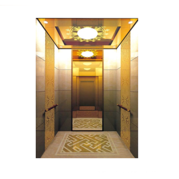 China Residential Passenger Elevator with Good Price